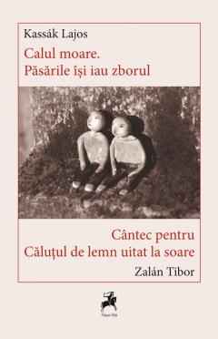 Calul moare. Pasarile isi iau zborul. Cantec pentru calutului de lemn uitat la soare