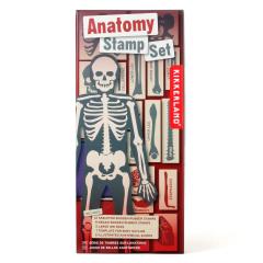 Set stampile - Anatomy Stamp Set