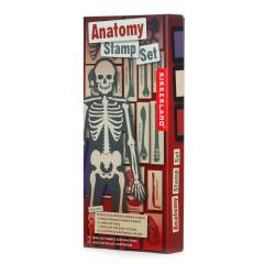 Set stampile - Anatomy Stamp Set