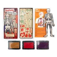 Set stampile - Anatomy Stamp Set