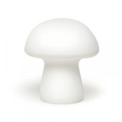 Lampa - Ciuperca - Mediu