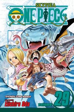 One Piece - Volume 29