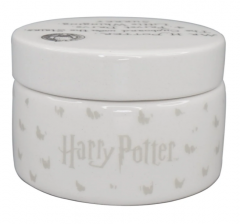 Recipient din ceramica - Harry Potter - Hedwig