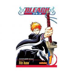 Bleach Vol. 1 