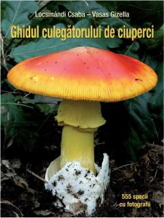 Ghidul culegatorului de ciuperci