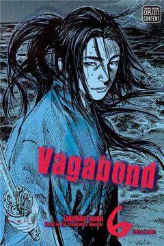 Vagabond Vol. 6