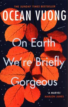 On Earth We're Briefly Gorgeous