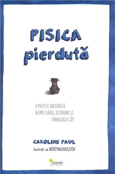 Pisica pierduta