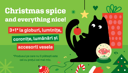 <span class='md-headline'><a href='/offer/1464' title='3+1 Crăciun'>3+1 Crăciun</a></span>